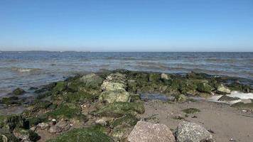 vista ad angolo basso sulle onde d'acqua sulla costa di una spiaggia del Mar Baltico in una giornata di sole. video