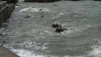 Waves crushing against breakwater. video