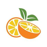 Fresh orange fruits on summer season. Summer fruit vector