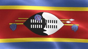 3D-Darstellung einer Eswatini-Flagge - realistische wehende Stoffflagge. video