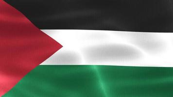 bandeira da palestina - bandeira de tecido acenando realista video