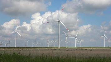 vista panorâmica sobre ovelhas em frente a moinhos de vento de energia alternativa video