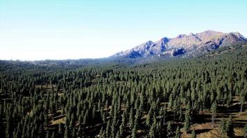 Cascade Mountain and surrounding Canadian Rocky Mountains in summer time video