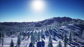 espléndido paisaje alpino en invierno video