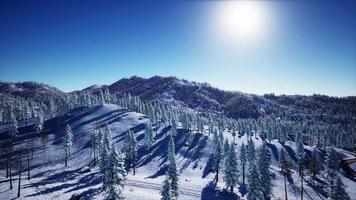 prachtig alpenlandschap in de winter video