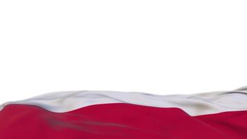 Poland fabric flag waving on the wind loop. Polish embroidery stiched cloth banner swaying on the breeze. Half-filled white background. Place for text. 20 seconds loop. 4k video