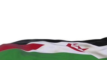 Western Sahara fabric flag waving on the wind loop. Western Sahara embroidery stiched cloth banner swaying on the breeze. Half-filled white background. Place for text. 20 seconds loop. 4k video