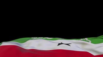 Somaliland fabric flag waving on the wind loop. Somaliland embroidery stiched cloth banner swaying on the breeze. Half-filled black background. Place for text. 20 seconds loop. 4k video