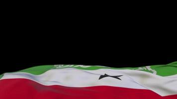 Somaliland-Stofffahne weht auf der Windschleife. Somaliland-Stickerei genähtes Stoffbanner, das sich im Wind wiegt. halb gefüllter schwarzer Hintergrund. Platz für Texte. 20 Sekunden Schleife. 4k video