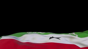 Somaliland fabric flag waving on the wind loop. Somaliland embroidery stiched cloth banner swaying on the breeze. Half-filled black background. Place for text. 20 seconds loop. 4k video