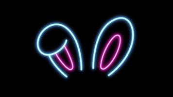 Animation pink rabbit's ears neon light shape isolate on black background. video