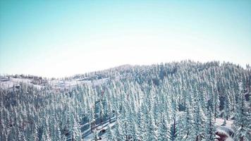 Splendid Alpine scenery in winter video