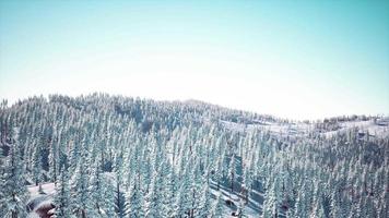 splendide paysage alpin en hiver video