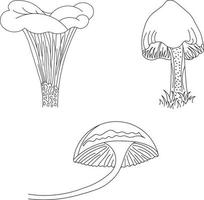 A set of illustrations of mushrooms. Drawings for coloring. Linear images. vector