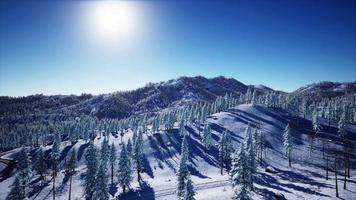 Splendid Alpine scenery in winter