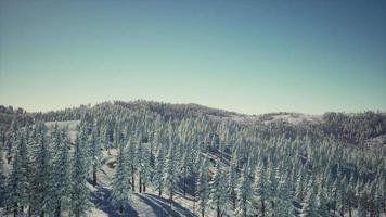 prachtig alpenlandschap in de winter video