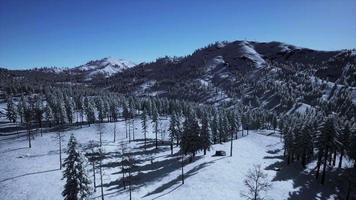 esplêndida paisagem alpina no inverno video