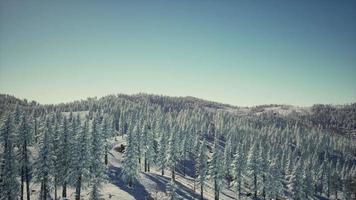 splendido scenario alpino in inverno video