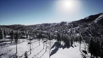 splendide paysage alpin en hiver video