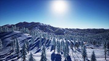 Splendid Alpine scenery in winter