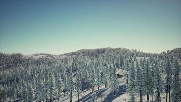splendide paysage alpin en hiver