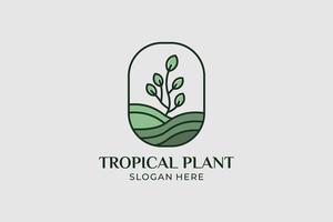 tropical plant logo set minimalist style vector