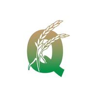 Letter Q with rice plant icon illustration template vector