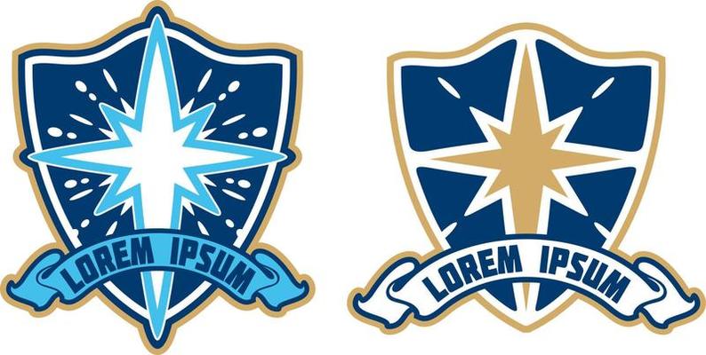 Star and shield logo vector