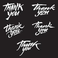 Thank you. Modern brush calligraphy. Handwritten ink lettering. Hand drawn design elements on white vector