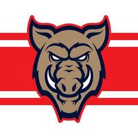 Wild hog or boar head mascot, colored version. Great for sports logos and team mascots. vector