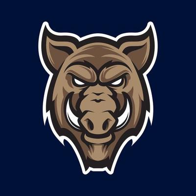 Wild hog or boar head mascot, colored version. Great for sports logos and team mascots.