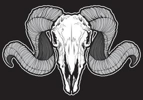 Skull of ram with curved horns vector