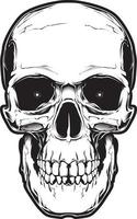 The image of the skull. Vector illustration. Isolated on white.