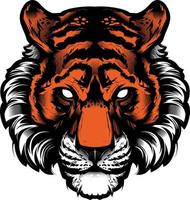 Tiger head vector illustration isolated on white background