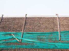 Leaves roof with the shading net. photo