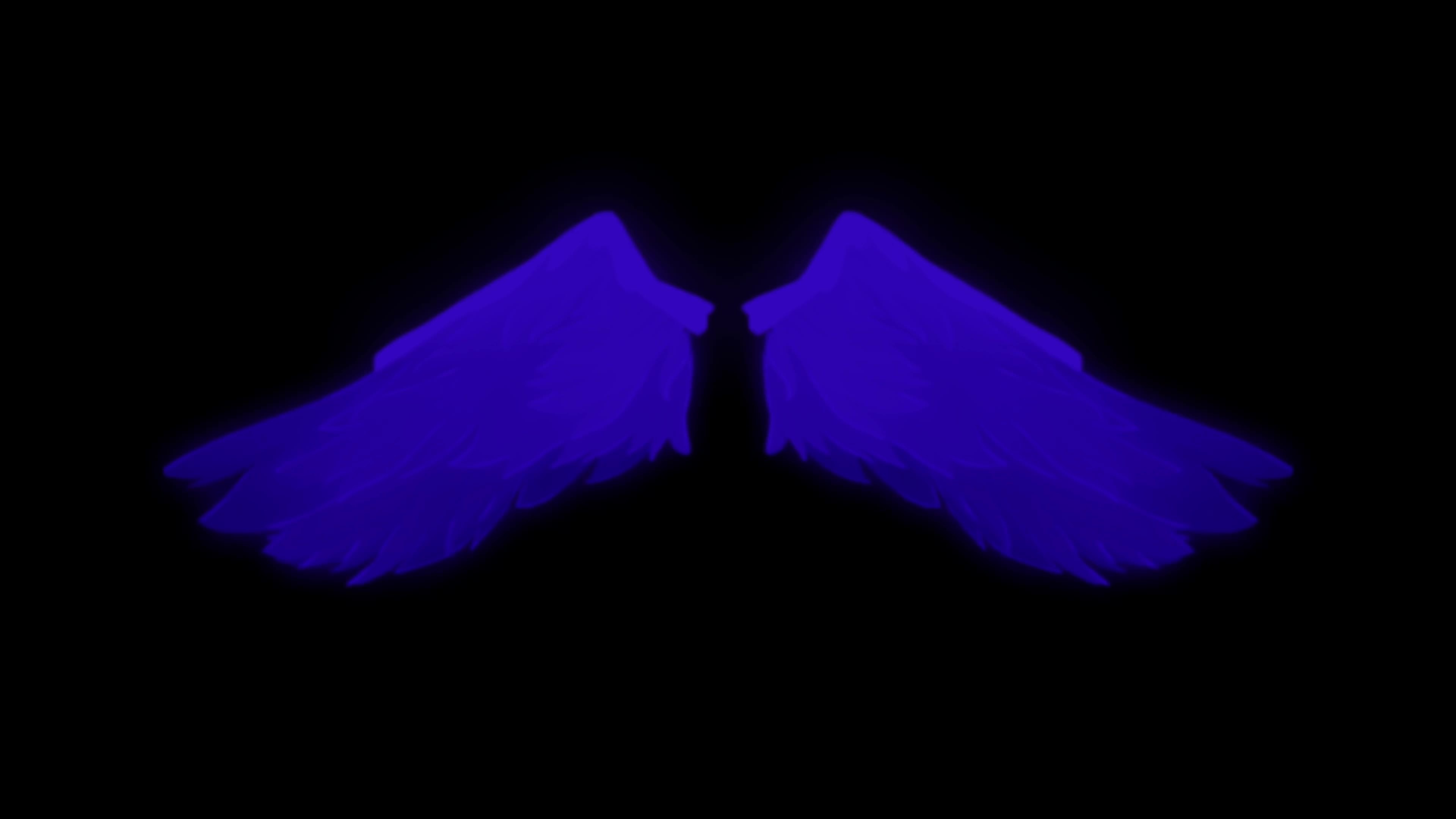 Animation blue wings isolate on black background. 7959768 Stock Video ...