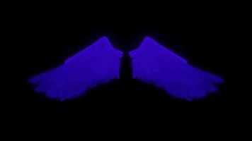 Animation blaue Flügel isolieren auf schwarzem Hintergrund. video