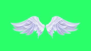 Animation white butterfly wing fantasy style on green background. video