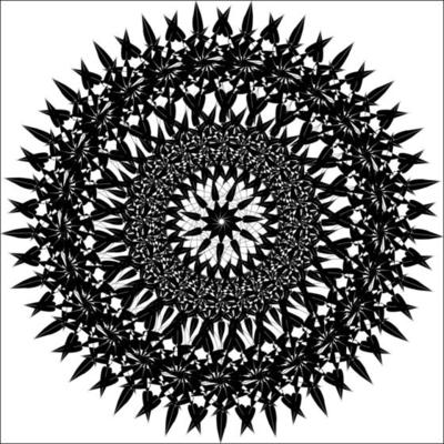 abstract black and white geometric mandala vector