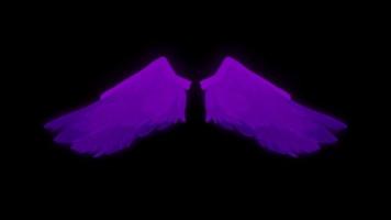 Animation purple wings isolate on black background. video