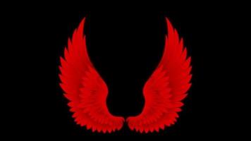 Animation red wings isolate on black background. video