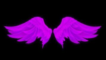 Animation purple wings isolate on black background. video