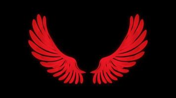 Animation red wings isolate on black background. video