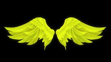 Animation yellow wings isolate on black background. video
