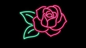 Animation pink rose neon light shape isolate for Valentine's day on black background. video