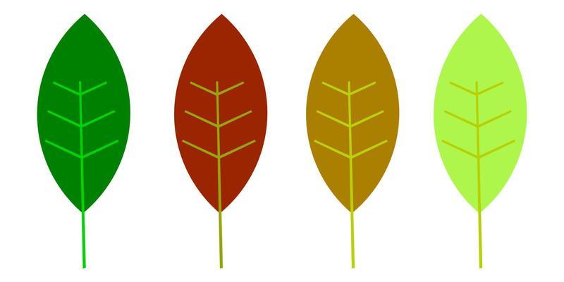 leaf icon design