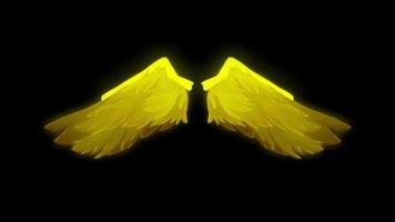 animatie gele vleugels isoleren op zwarte achtergrond. video