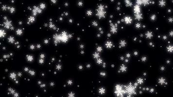realistische witte sneeuwvlok sparkle frame isoleren op zwarte achtergrond. video