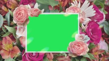 Animation pink flower blooming frame on green background.