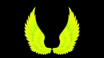 Animation yellow wings isolate on black background. 7959981 Stock Video at Vecteezy Animation yellow wings isolate on black background. 7959981 Stock Video at Vecteezy